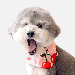 반려동물 스카프